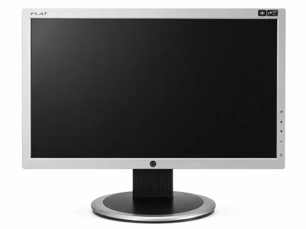 COMPUTER SCREEN