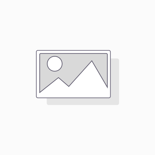WIZZERMAN PLASTIC PRIMA