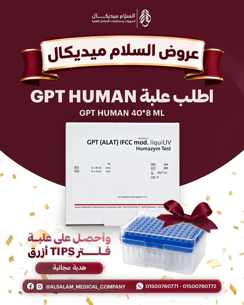 عرض علبة GPT HUMAN