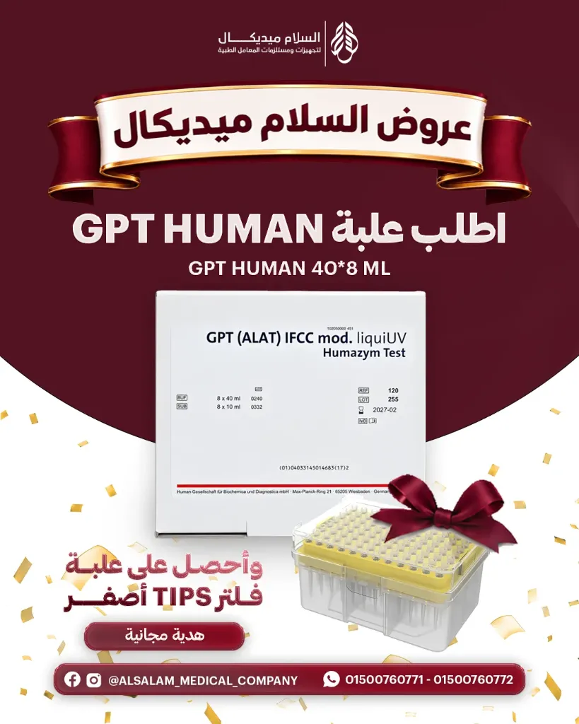 عرض علبة GPT HUMAN